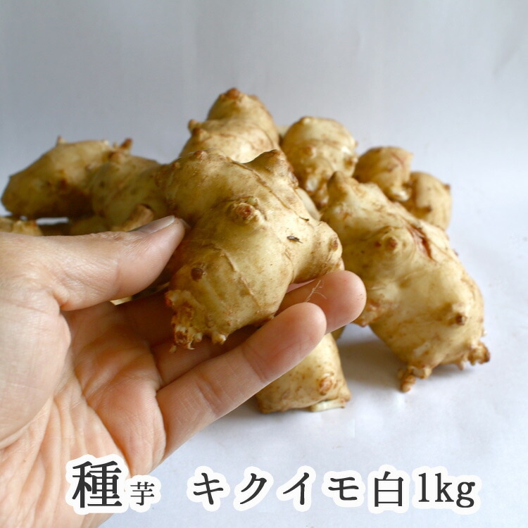 000000001924_BsFJJBv.jpg