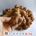 տ 磻  ư 1kgץ̥ ݥեΡ ʬ    襤   ڱ  տ 