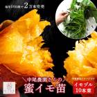���ĥޥ��� �� ������������व���̪��(�ߥĥ���)�� 10�ܡ�