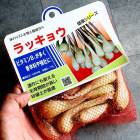 �� ��å��祦  150��(�ܺ긩���˼ﺬ�׼� �� ��ä��礦 ���� ��ä��� ��å��� �ﺬ �� �����ڱ�