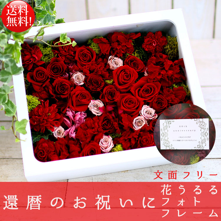 ����ˤ� ���� �ץꥶ���֥ɥե�[�ե졼�ॢ���]��