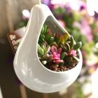 ¿����ʪ or ���ܥƥ� �󤻿����� �ɥ��å� �ۡ�ƫ��ݥåȡ�