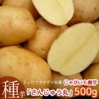 Ժ2025ǯդ٤ʤޥĥΤʤýTVǤꡪƿ  㤬 磻֤󤸤夦ޤ 500g(Ĺ긩) 