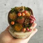 ϥ  HWʥʥå 󥸡HW557