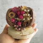 ϥ  HWʥʥå ѡץHW558