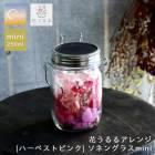 ��¨��ȯ����OK�� �ץ쥼��� ���ͥ󥰥饹�߲֤����ڥϡ��٥��ȥԥ�mini����������Ź(�ݾڽ��� 250ml ��󥿥� led �����顼 ���ż� �ɺ� �ҳ��� ����ƥꥢ �ץ쥼��� ���۽ˤ� �饤�� ������� �� �ե����ե� ������ ���� �ɥ饤�ե� �� ��Ϸ����