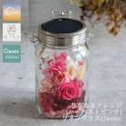 ��¨��ȯ����OK�� �ץ쥼��� ���ͥ󥰥饹�߲֤����ڥϡ��٥��ȥԥ󥯡���������Ź(�ݾڽ��� 1000ml ��󥿥� led �����顼 ���ż� �ɺ� �ҳ��� ����ƥꥢ �ץ쥼��� ���۽ˤ� �饤�� ������� �� �ե����ե� ������ ���� �ɥ饤�ե� �� ��Ϸ����