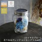 ������� �֤���롿¨��ȯ��OK ���ͥ󥰥饹�߲֤����ڥ������֥롼mini��