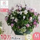 �ӥ���Υϥ󥮥󥰥Х����å� �󤻿��� [�ԥ󥯥���ƥ�����] M������ ����ץ�