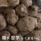 �տ��� ���� Τ�� �դ��ޤ�  1kg (���ܸ���)�� Τ�� ��� ���ȥ��� ���Ȥ��� Τ��� �� �����ڱ� ��