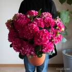 �������Υܥ�塼�ࡿ�쥢�ʼ� ���Ѥ�� �������� [�ʼ�:�ѥ� ] 8��ȭ 