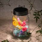 ڿ ͥ󥰥饹߲֤ۡLۡŹݾڽ Classic1000ml Genelation6
