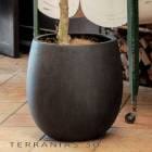 ȭ 緿 ƥ˥ Х롼 30EB-TB3030 TERRANIAS  緿 ȭ ȭ ǥ˥ ݥå ץ󥿡 եС