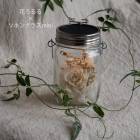 ��¨��ȯ����OK�� �ץ쥼��� ���ͥ󥰥饹�߲֤����ڥʥ�����ۥ磻��mini���ݾڽ��� 250ml ��󥿥� led �����顼 ���ż� �ɺ� �ҳ��� ����ƥꥢ �ץ쥼��� ���۽ˤ� �饤�� ������� �� �ե����ե� ������ ���� �ɥ饤�ե� �� ��Ϸ����