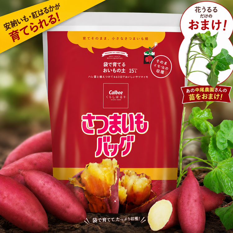 人気イモヅル おまけ付】さつまいもバッグ 15L(紅はるか 安納芋 紅