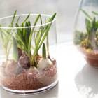 ��̺��ݥ��å� ��Ф��庬���ޤ���mix ���饹�դ��֥饦��� ���饹��