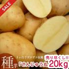 20kg  ���㤬���� �磻��֤��󤸤夦�ޤ� 20kg��(Ĺ�긩��)���ޥĥ����Τ�ʤ��������ý���TV�Ǥ����� �ƿ��� ������ �տ��� ξ�������󿢤��դ�OK�ʼ�