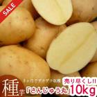 �ǽ� ���Ԥ��� 10kg ������ ���㤬���� �磻��֤��󤸤夦�ޤ� 10kg��(Ĺ�긩��)���ޥĥ����Τ�ʤ��������ý���