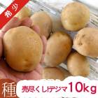 㤬 磻֥ǥ 10kg(Ĺ긩)ޥĥΤʤýTVǤ  Ф줤 㥬 磻 ڱ   㤬 ƿ  㤬  襤   
