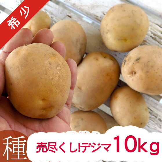 品薄・再販無しじゃがいも 種イモ「デジマ 10kg」(長崎県産)＼マツコの