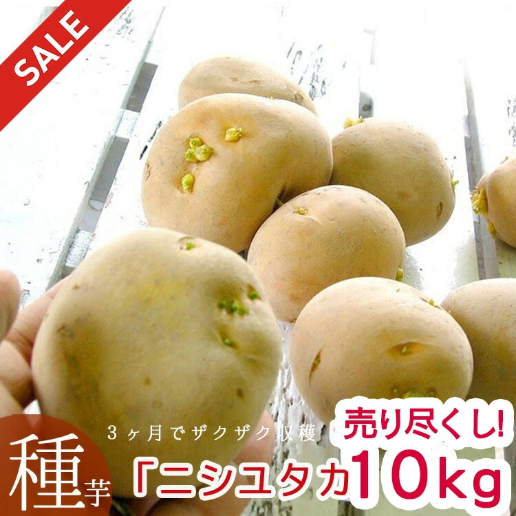 ����������̵�����㤬���� �磻��֥˥��楿�� 10kg��(Ĺ�긩��)���ޥĥ����Τ�ʤ��������ý���TV�Ǥ����ꡪ �ƿ��� ������ �տ��� ξ�������󿢤��դ�OK�ʼ�
