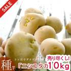 ռ Ԥʬ㤬 磻֥˥楿 10kg(Ĺ긩)ޥĥΤʤý