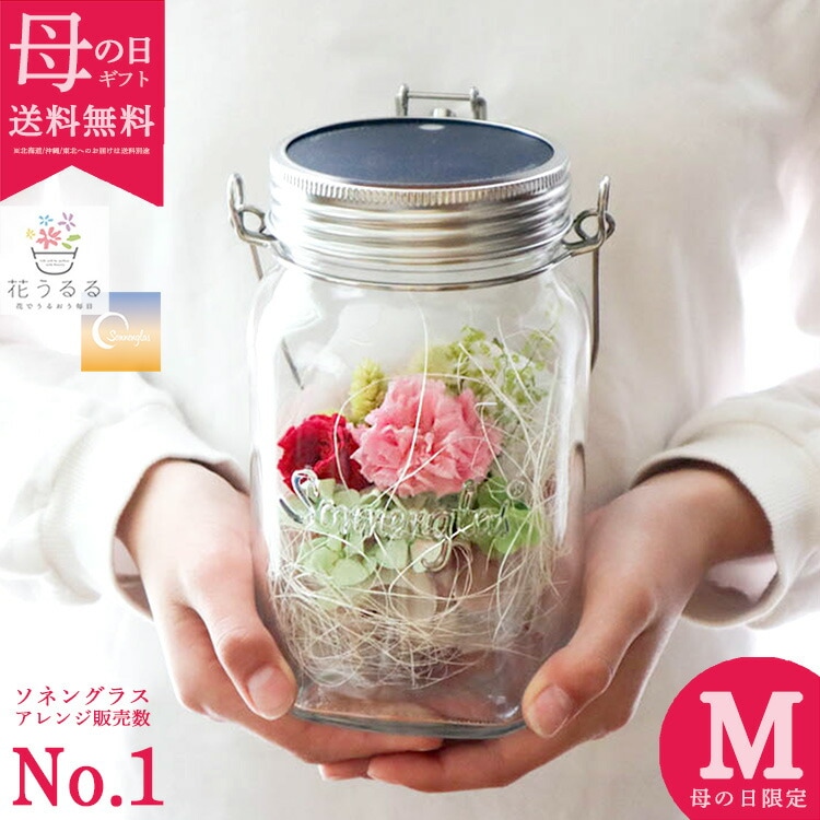  2023 ʡڥͥ󥰥饹߲֤mother's RED (å)Źݾڽ Classic1000ml Genelation6 