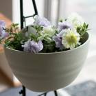 ��2�İʾ������̵���������������� ���������Ĥι�� Ȭ�ź餭 �ڥ���˥� �ϥ󥮥� �󤻿��� �ɥ쥹���åסڥ�٥�����ߥ饤���( �Х�餭 ���ե��˥� �ߥ˥Х� �󿢤� �ɺ��� ¿ǯ�� ���ե� �ե� ���� �����ǥ˥� ���å� �� �ϥ󥮥󥰥Х����å� �ɳݤ�