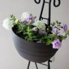 ��2�İʾ������̵���������������� ���������Ĥι�� Ȭ�ź餭 �ڥ���˥� �ϥ󥮥� �󤻿��� �ɥ쥹���åסڥԥ󥯥������ߥ饤���( �Х�餭 ���ե��˥� �ߥ˥Х� �󿢤� �ɺ��� ¿ǯ�� ���ե� �ե� ���� �����ǥ˥� ���å� �� �ϥ󥮥󥰥Х����å� �ɳݤ�