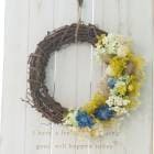 ¨ȯOKץ쥼  ץꥶ֥ɥեڥ꡼(c23