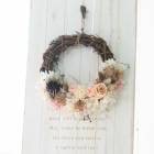 ¨ȯOKץ쥼  ץꥶ֥ɥեڥ꡼(d23