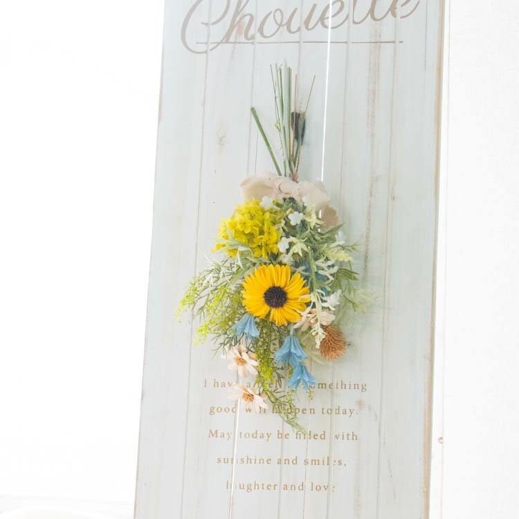 �����ޤ�����OK������̵�� ���� �ץꥶ���֥ɥե��ڥ���å��ΤҤޤ�ꥢ���(a23��