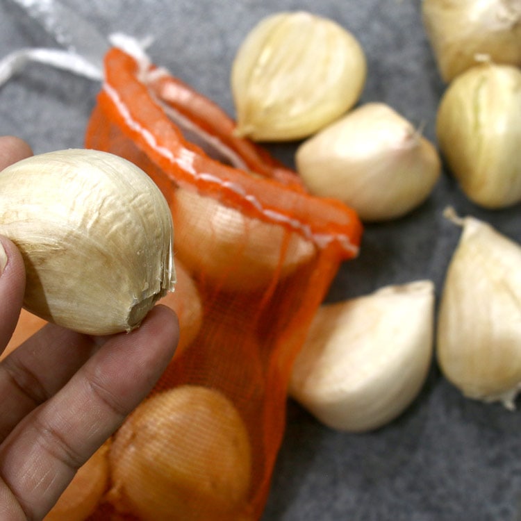 1片でこの大きさ！「 早生 ジャンボニンニク 種 (山口県産)1kg 無消毒