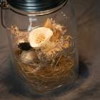 ڿ ͥ󥰥饹߲֤ۥ֡ʥʥˡŹݾڽ Classic1000ml Genelation6 