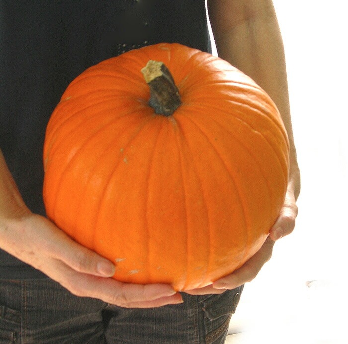 【オレンジ系のみ】ハロウィン装飾　一番人気おもちゃカボチャ130個セット オレンジ系のみ】ハロウィン装飾にぴったり 一番人気おもちゃ