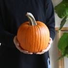 ϥ ʪ ܥ վѡإ४ S (ľ15-17cmٴΥ