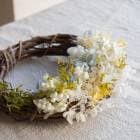 ¨ȯOKץ쥼  ץꥶ֥ɥե[꡼󥸡g23