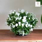 �ӥ���Υϥ󥮥󥰥Х����å� �֤���� �󤻿��� [�ۥ磻��] M������ ����ץ� 