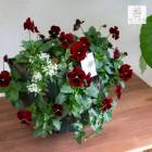 �ӥ���Υϥ󥮥󥰥Х����å� �֤���� �󤻿��� [��å�] M������ ����ץ�