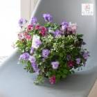 �ӥ���Υϥ󥮥󥰥Х����å� �֤���� �󤻿��� [�ߥå����٥꡼] M������ ����ץ�