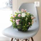 �ӥ���Υϥ󥮥󥰥Х����å� �֤���� �󤻿��� [�ԥ󥯥���] M������ ����ץ�