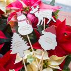 ڴ󤻿Ʊ̵᡼ؤOKۥꥹޥ   [ ץ졼 ԥå ʥ 륨å 4  Ρޥ ĥ꡼ ȥʥ]