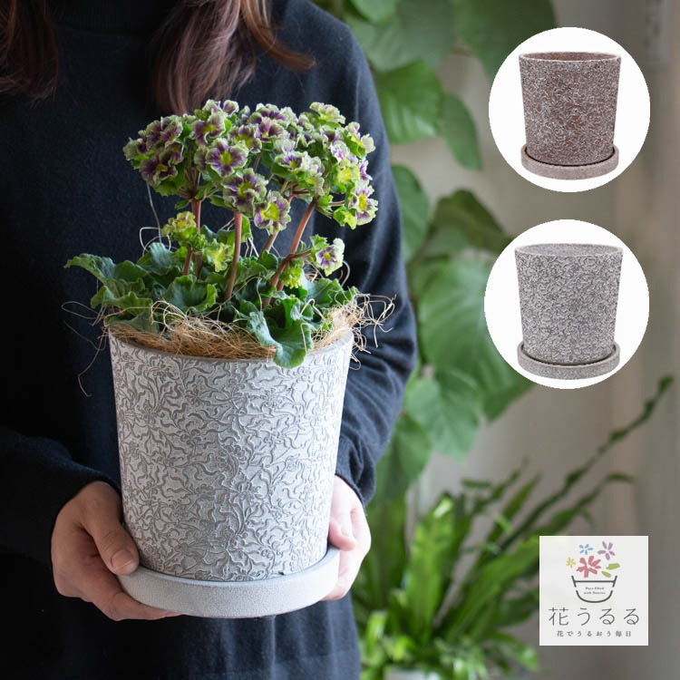 鉢【カリエンポット S ソーサー付き】 | ハンギング・寄せ植え用品
