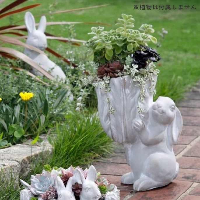 鉢【アグロスポット C】底穴あり | ハンギング・寄せ植え用品