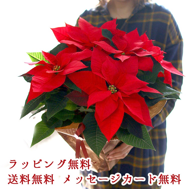 ����åԥ�̵�������ڡ����桿 �ݥ��󥻥��� ȭ�����֥ץ�᡼�� 5��ȭ������̵��