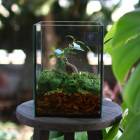 ꡦʸ¤̵ տʪ [ƥꥦ ӥ] (ޥ1) 