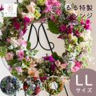 �֤���� �꡼�� �󤻿��� [����� LL������]���ޤ���&���������ᥤ�ɲ�