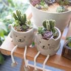 �����ʸ¤꡿���˥ޥ�ݥåȤǰ�Ƥ� ���ܥƥ� ¿����ʪ �󤻿����ڤͤ������ޡ� 