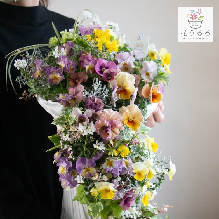 現品限りの即売会！／綱木紋(つなきもん)ギャザリング 寄せ植え 豪華