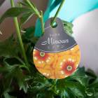 �����ʸ¤꡿ ȭ�����֥�ʥ󥭥�饹 ��å������ߥΥ����6��ȭ �⤵60��70cm